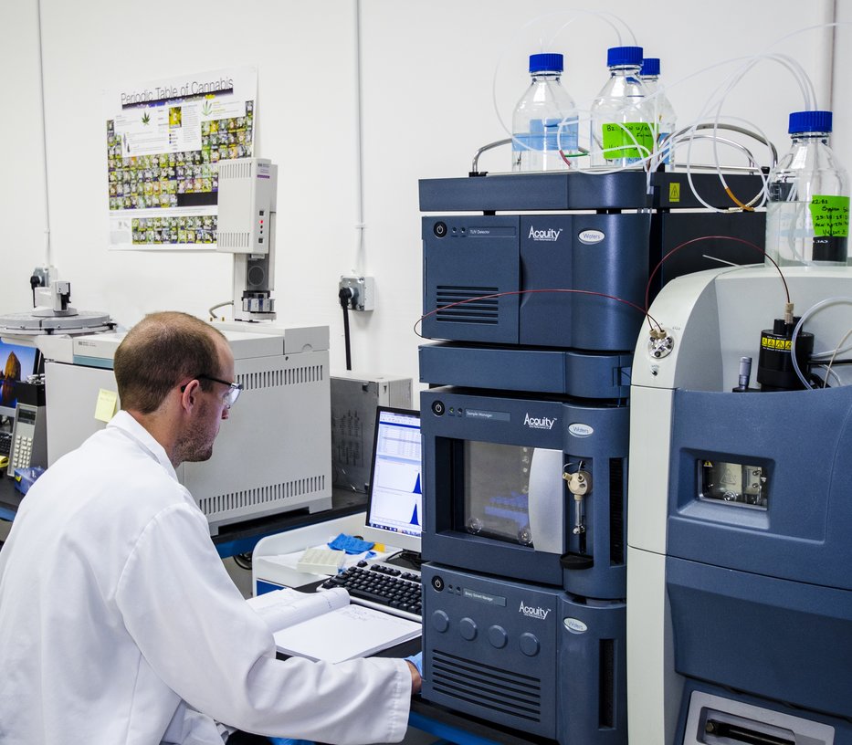 Rsz 374 labs 000.jpg