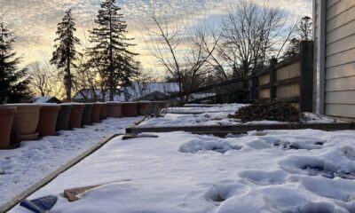 8edacd 20250223 Frosty Gardening01 2000.jpg