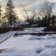 8edacd 20250223 Frosty Gardening01 2000.jpg