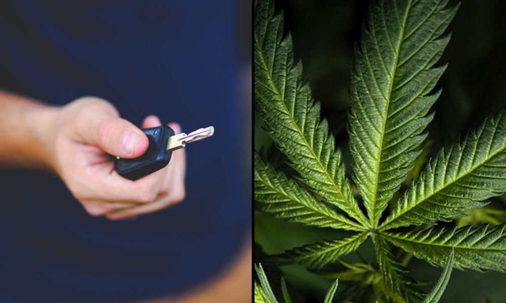 Car keys marijuana.jpg