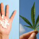 Pills painkillers marijuana cannabis 1024x614.png