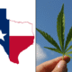 Texas flag marijuana cannabis leaf.png