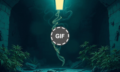 1760456756 admin ajax.png