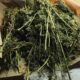 Bucked weed in kraft paper 1000x600.jpg