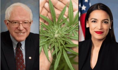 Bernie sanders aoc marijuana cannabis 1024x614.png