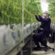 Cannabis grow technician inspection aroma optimization.jpg