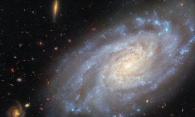 Image focusing on ngc.jpg