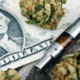 Marijuana decriminalization dollar.png