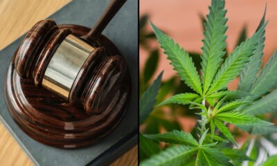 Marijuana legislation bill leaf gavel.jpg