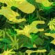 Marijuana 1509040334 e1519841910822.jpg