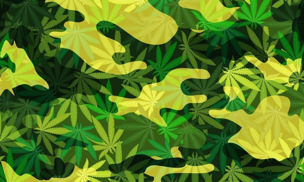 Marijuana 1509040334 e1519841910822.jpg